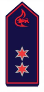 Schulterstück Oberlöschmeister